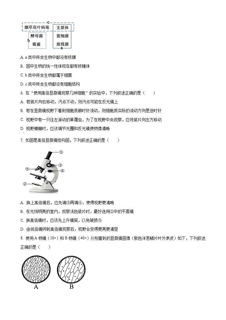 四川省成都市石室中学2024—2025学年高一上学期10月考试生物试题 Word版无答案第2页