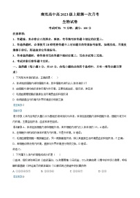 四川省南充市高級中學(xué)2024-2025學(xué)年高二上學(xué)期10月月考生物試題（Word版附解析）