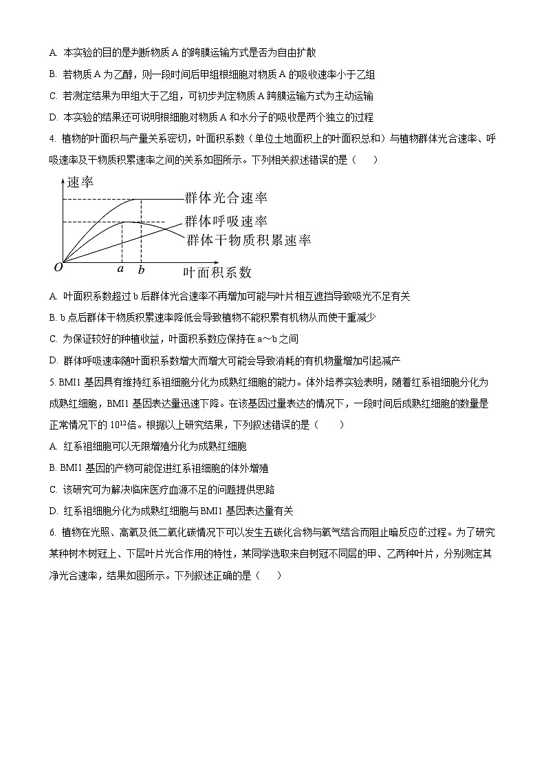 四川省内江市第六中学2024-2025学年高三上学期第二次月考生物试题 Word版无答案第2页