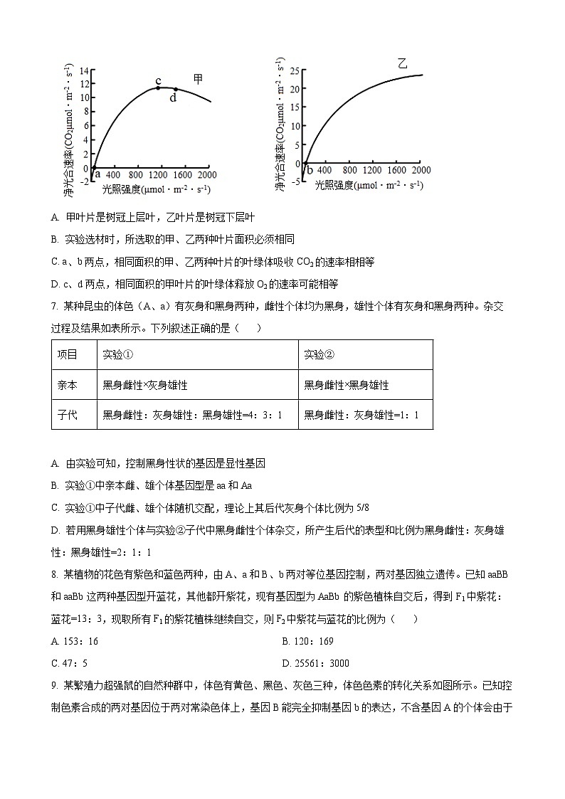 四川省内江市第六中学2024-2025学年高三上学期第二次月考生物试题 Word版无答案第3页