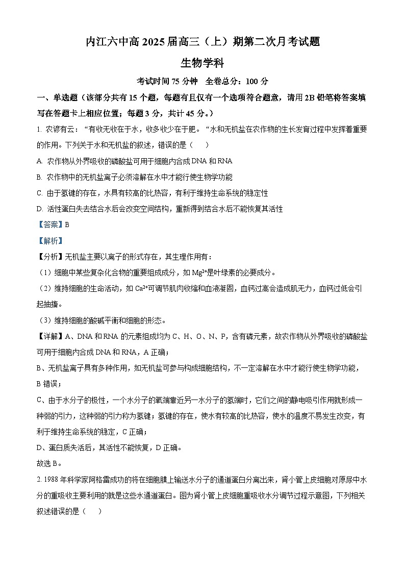 四川省内江市第六中学2024-2025学年高三上学期第二次月考生物试题 Word版含解析第1页