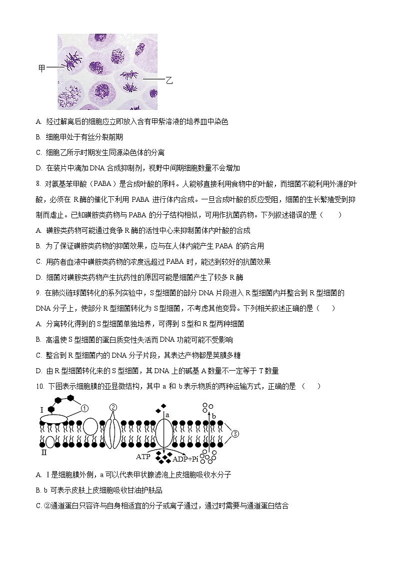 重慶市重慶市重慶烏江新高考協(xié)作體2024-2025學年高三上學期10月月考生物試題 Word版無答案第2頁
