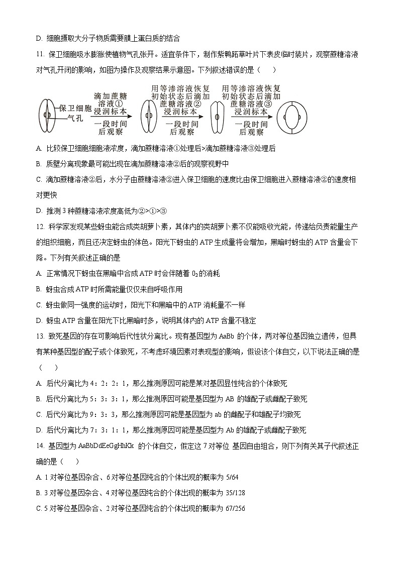 重慶市重慶市重慶烏江新高考協(xié)作體2024-2025學年高三上學期10月月考生物試題 Word版無答案第3頁