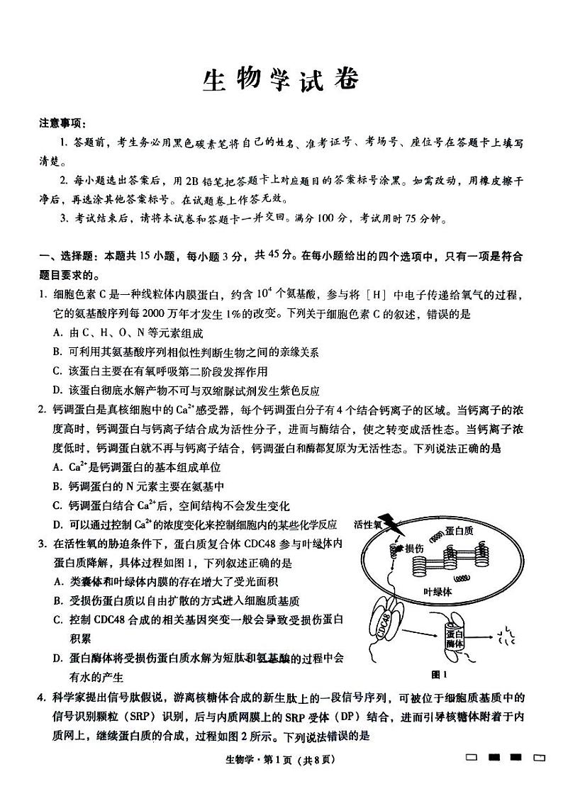 重庆市巴蜀中学2024-2025学年高三上学期10月月考生物试题(PDF版附解析)第1页