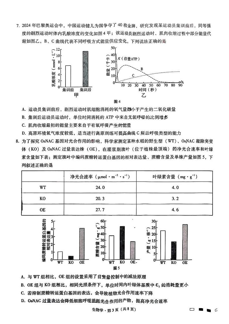 重庆市巴蜀中学2024-2025学年高三上学期10月月考生物试题(PDF版附解析)第3页