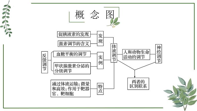 第52讲 神经调节和体液调节的关系-备战2025年高考生物一轮复习精讲课件(新教材新高考)02