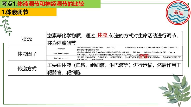 第52讲 神经调节和体液调节的关系-备战2025年高考生物一轮复习精讲课件(新教材新高考)04
