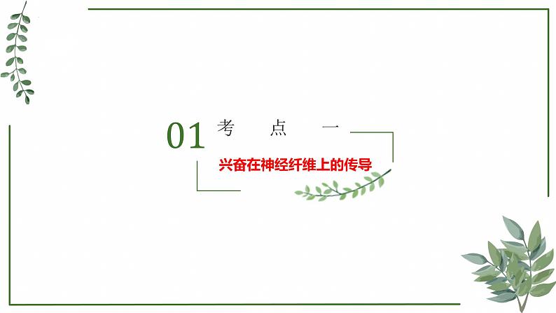 第49讲 神经冲动的产生和传导及神经调节的分级调节、人脑的高级功能-备战2025年高考生物一轮复习精讲课件(新教材新高考)第3页