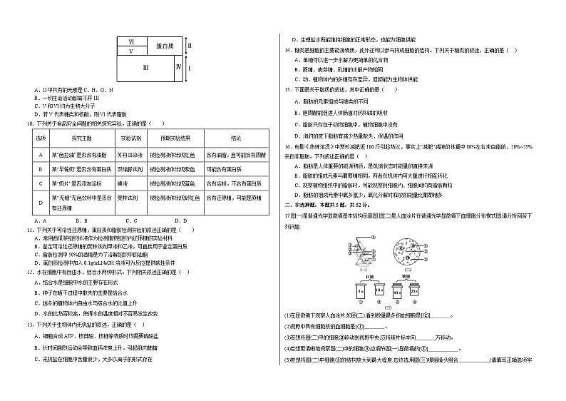 甘肃省兰州新区贺阳高级中学2024-2025学年高一上学期第一次月考生物试卷第2页