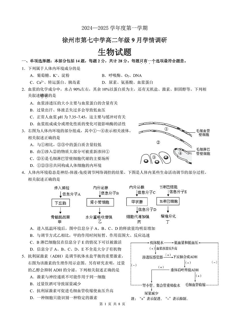 江苏省徐州市第七中学2024-2025学年高二上学期9月月考生物试题第1页