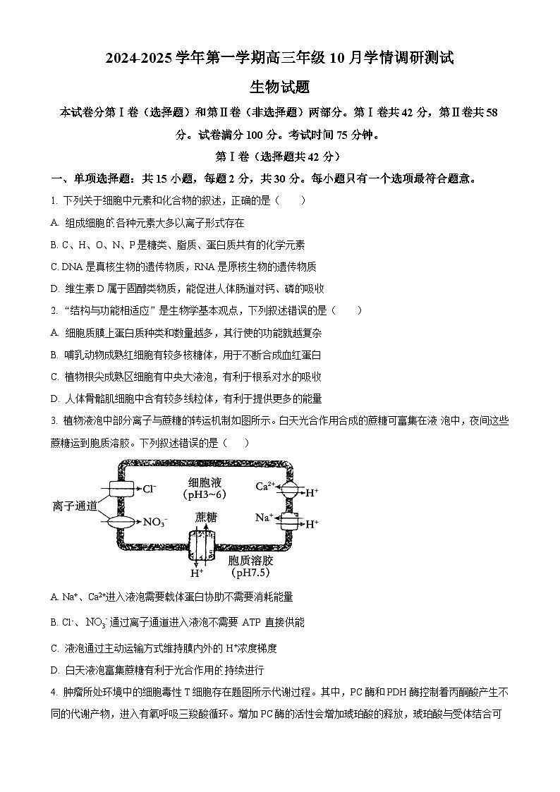 江苏省高邮市2024-2025学年2025届高三(上)学期10月学情调研测试生物试卷第1页