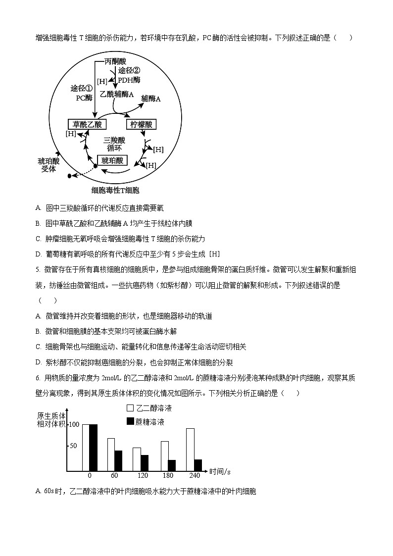 江苏省高邮市2024-2025学年2025届高三(上)学期10月学情调研测试生物试卷第2页
