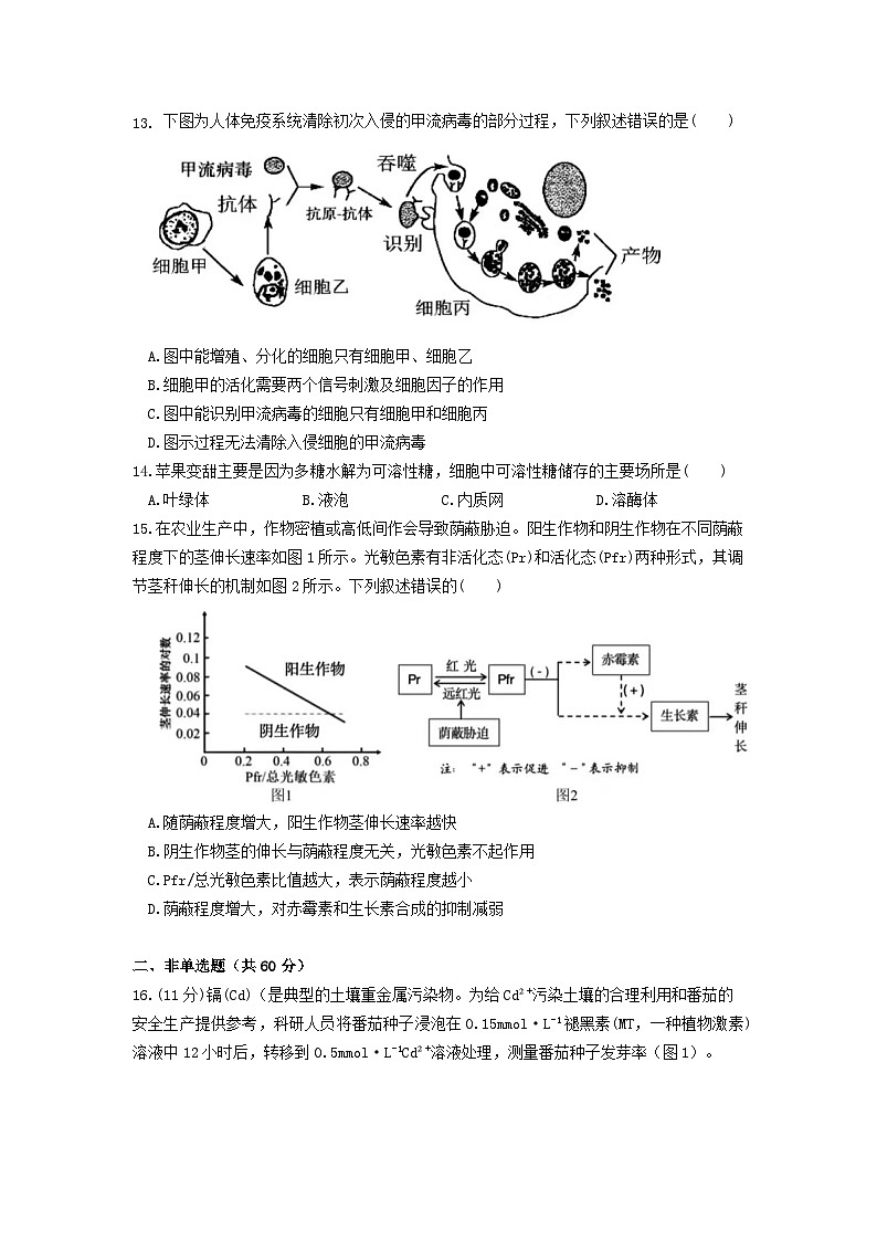 福建省泉州市德化县第二中学2024-2025学年高三上学期10月月考生物试题第3页