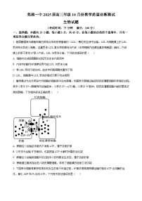 安徽省芜湖市第一中学2024-2025学年高三上学期10月教学质量诊断测试生物试题（Word版附答案）