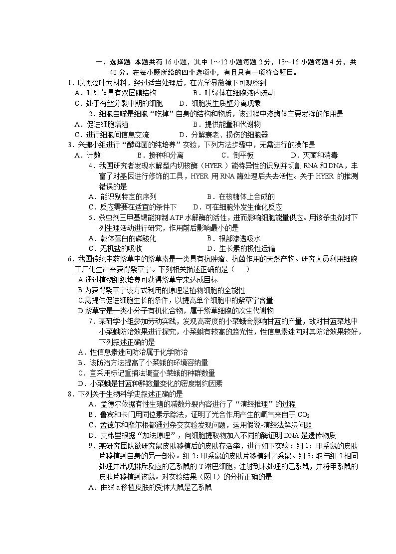 广东省莞佛深部分学校2024-2025学年高三上学期10月联考生物试题(Word版附答案)01