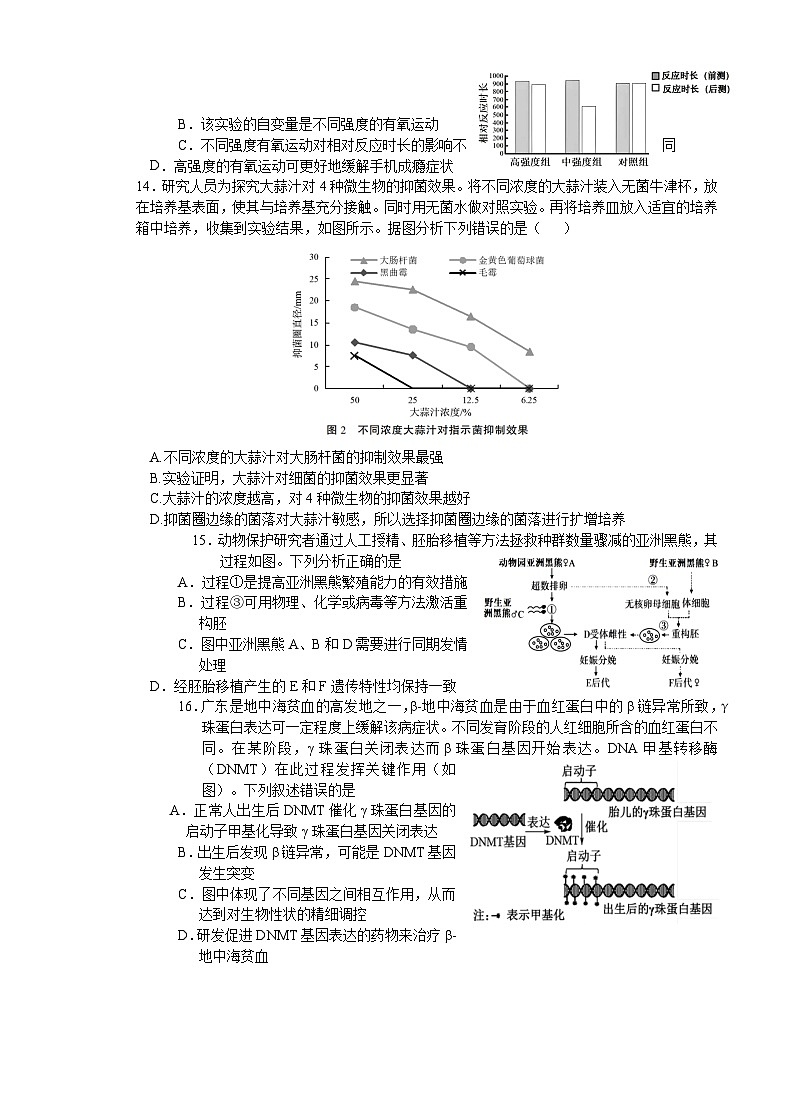 广东省莞佛深部分学校2024-2025学年高三上学期10月联考生物试题(Word版附答案)03