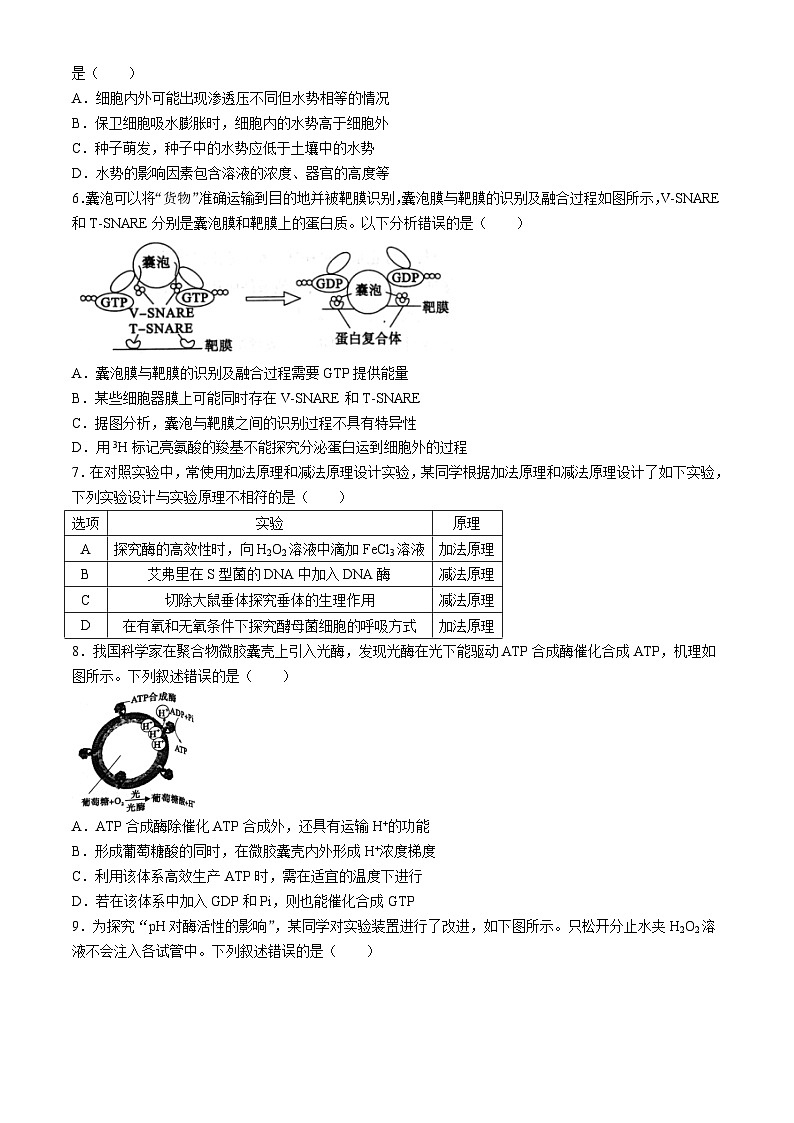 河南省信阳市2024-2025学年高三上学期第一次质量检测生物试题(Word版附答案)第2页
