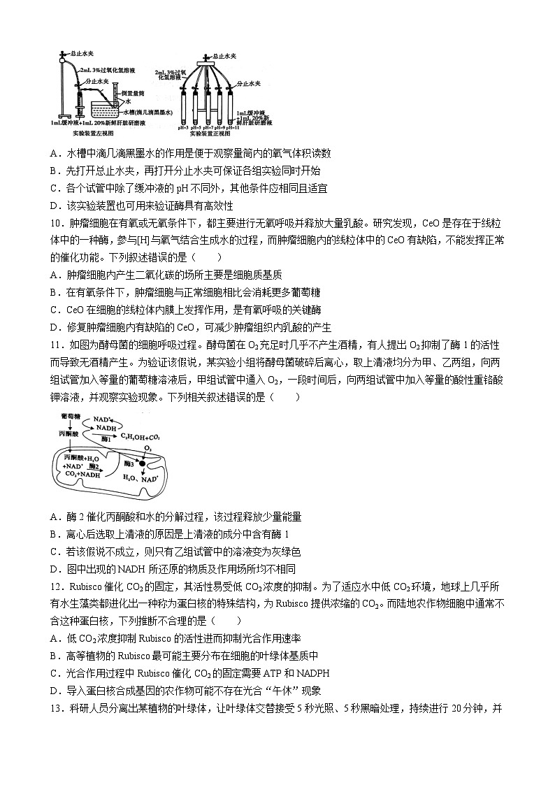 河南省信阳市2024-2025学年高三上学期第一次质量检测生物试题(Word版附答案)第3页