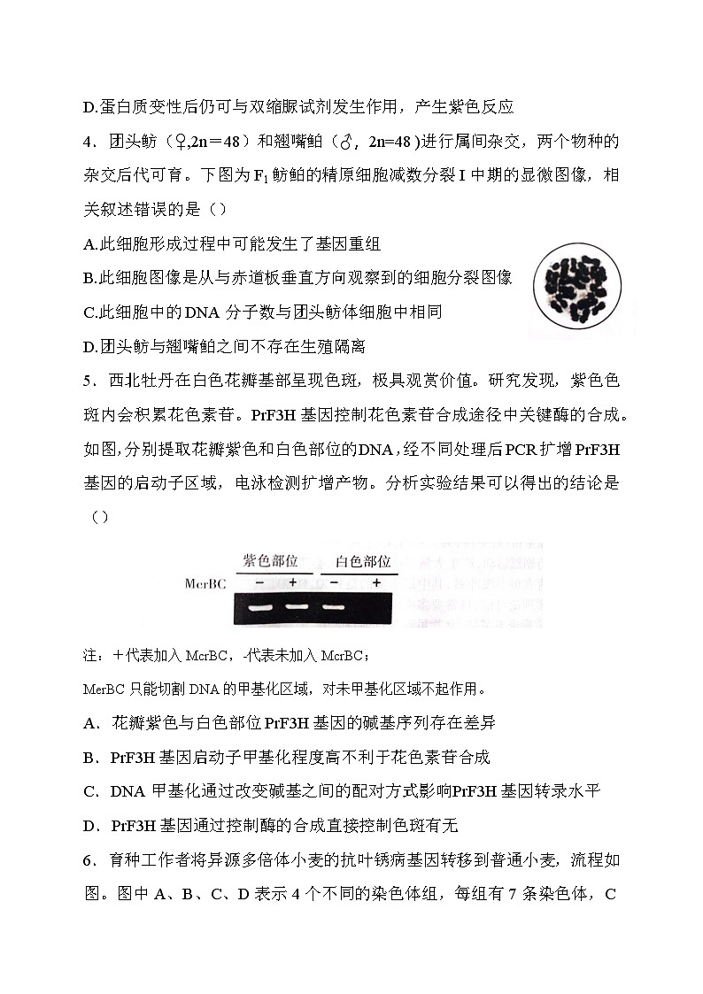 山西省长治市2024-2025学年度高三九月份质量监测试卷生物第2页