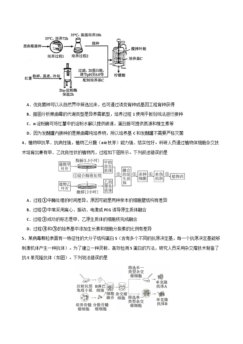 四川省成都石室2024-2025学年度上期高2025届定时练习试卷生物第2页