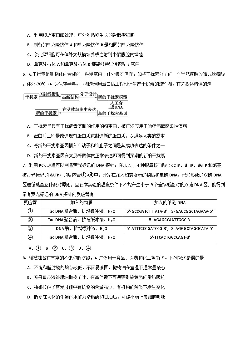 四川省成都石室2024-2025学年度上期高2025届定时练习试卷生物第3页