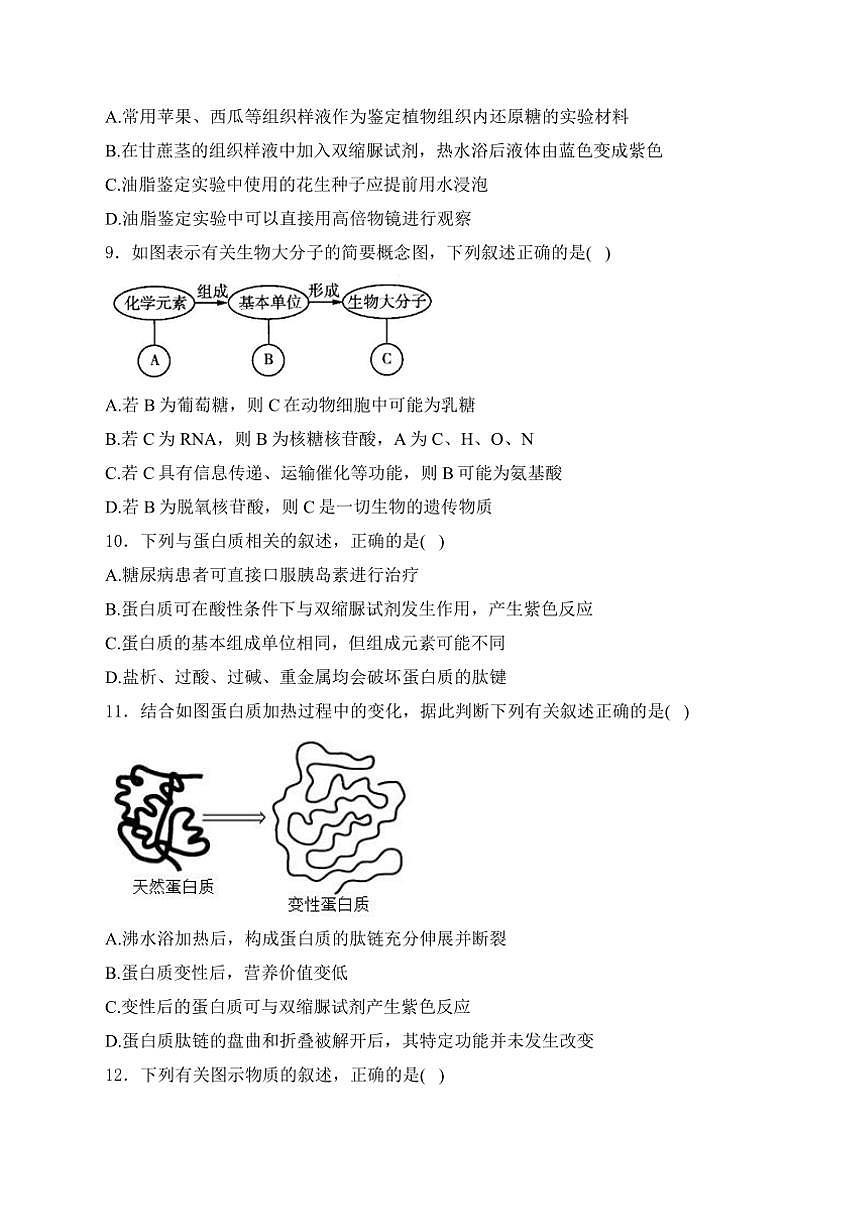 [生物]山東省泰安市肥城市肥城市慈明學(xué)校2024～2025學(xué)年高一上學(xué)期第一次月考學(xué)試卷(有解析)第3頁(yè)