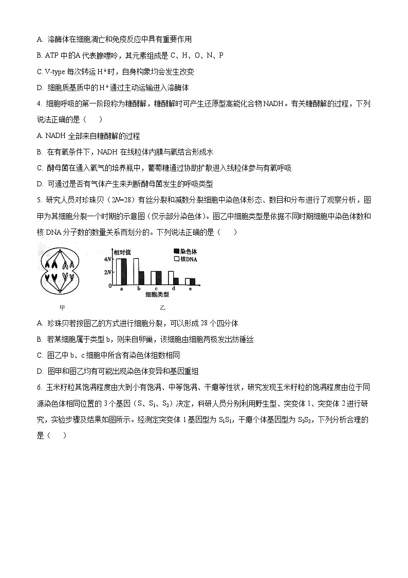 云南省大理白族自治州宾川县高平第一完全中学2024-2025学年高三上学期期中考试生物试题第2页