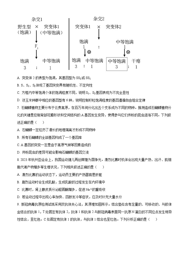 云南省大理白族自治州宾川县高平第一完全中学2024-2025学年高三上学期期中考试生物试题第3页