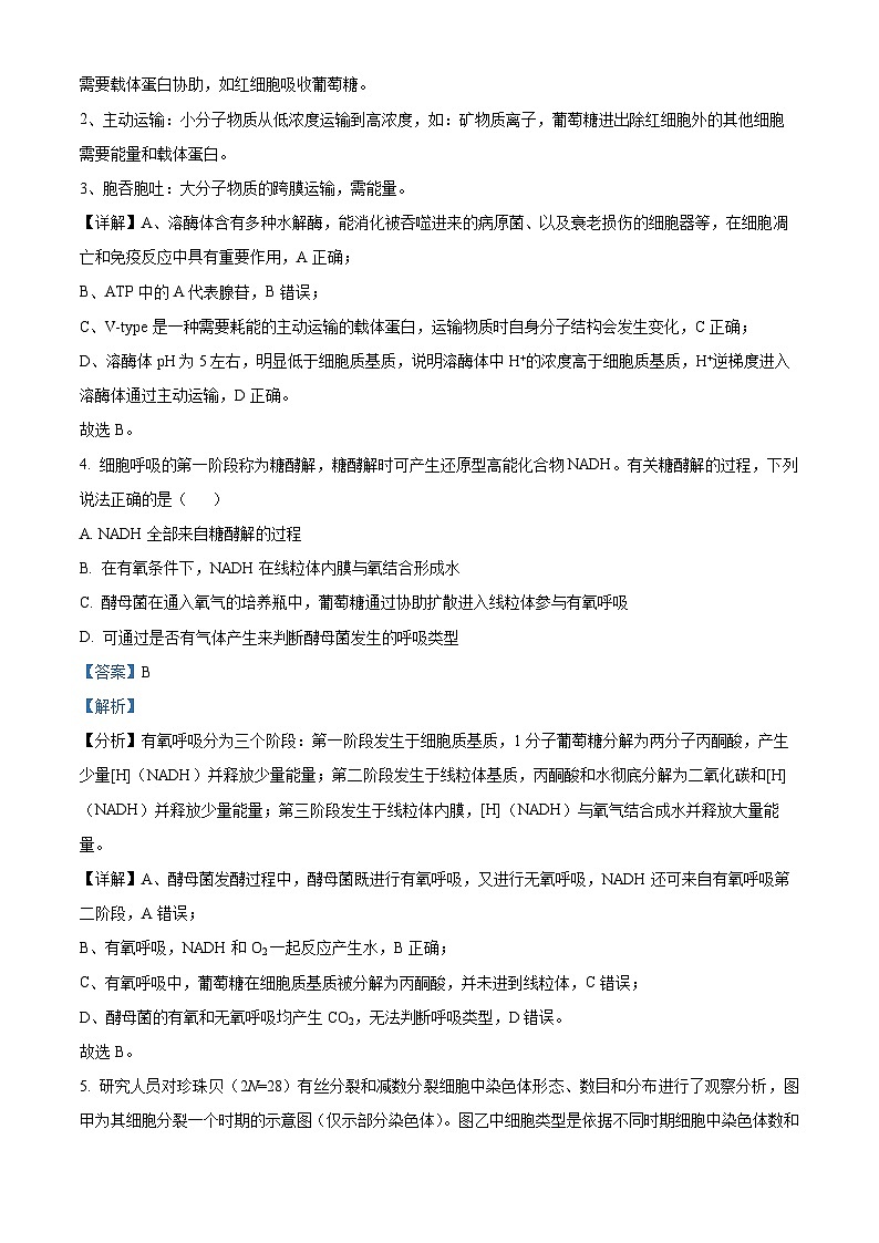 云南省大理白族自治州宾川县高平第一完全中学2024-2025学年高三上学期期中考试生物试题答案第3页
