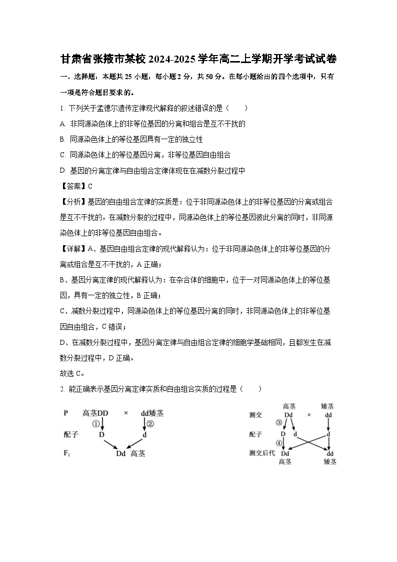 [生物]甘肃省张掖市某校2024-2025学年高二上学期开学考试试卷(解析版)