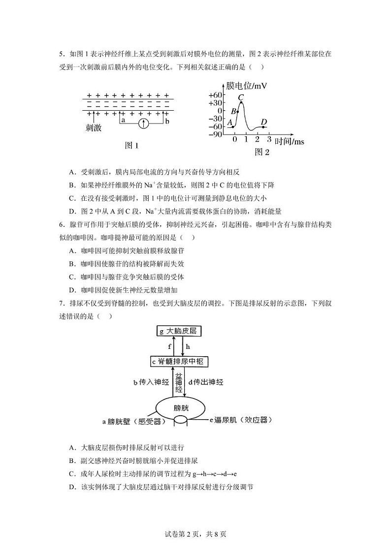 广东省东莞市东莞五校联考2024-2025学年高二上学期10月月考生物试题第2页