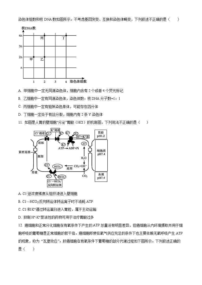 滨城高中联盟2024-2025学年度上学期高三期中考试(一) 生物第3页