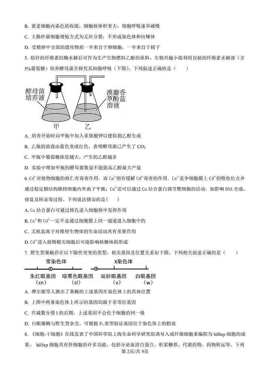 生物丨廣東省東莞市東莞外國(guó)語(yǔ)學(xué)校2025屆高三10月月考生物試卷及答案第2頁(yè)