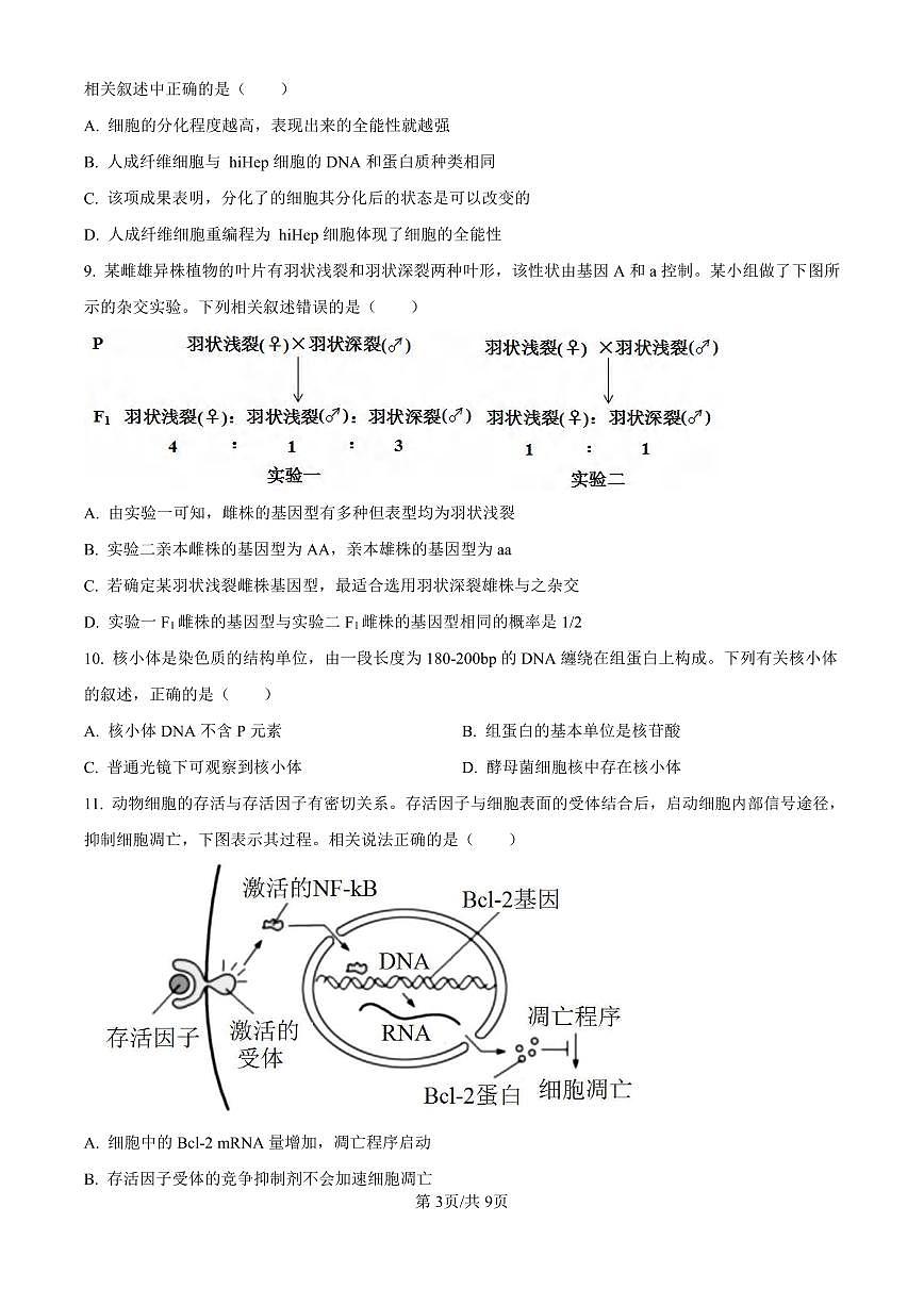 生物丨廣東省東莞市東莞外國(guó)語(yǔ)學(xué)校2025屆高三10月月考生物試卷及答案第3頁(yè)