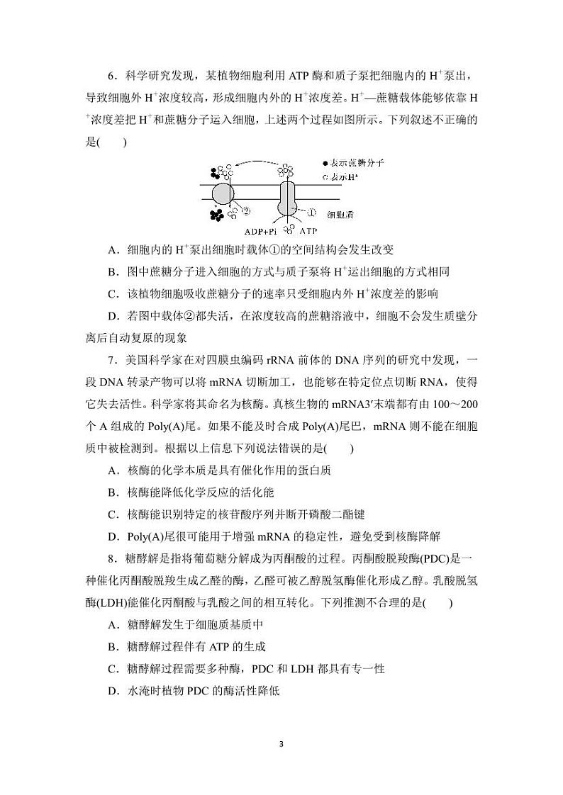 黑龙江省实验中学2024-2025学年度高三学年上学期第二次月考生物学科试题第3页