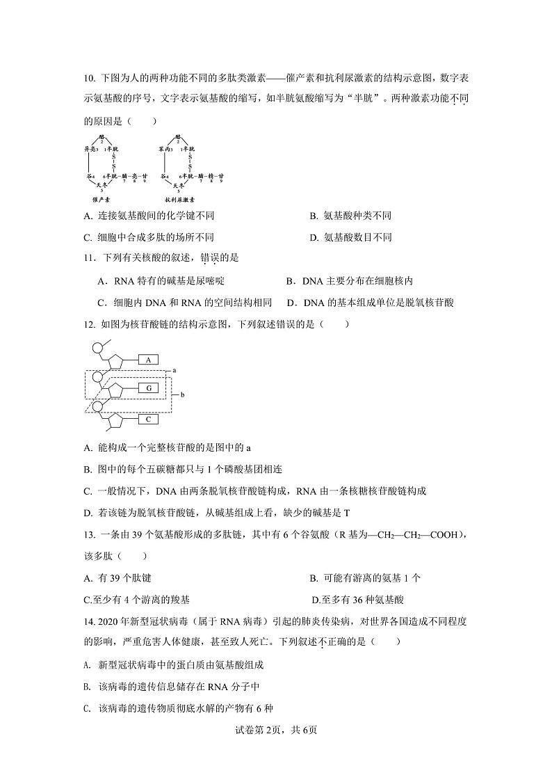 江苏省仪征市精诚高级中学2024-2025学年高一上学期9月月考生物试题02