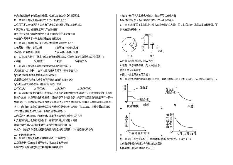 山东省泰安市泰山国际学校2024-2025学年高一上学期10月第一次月考生物试卷第2页