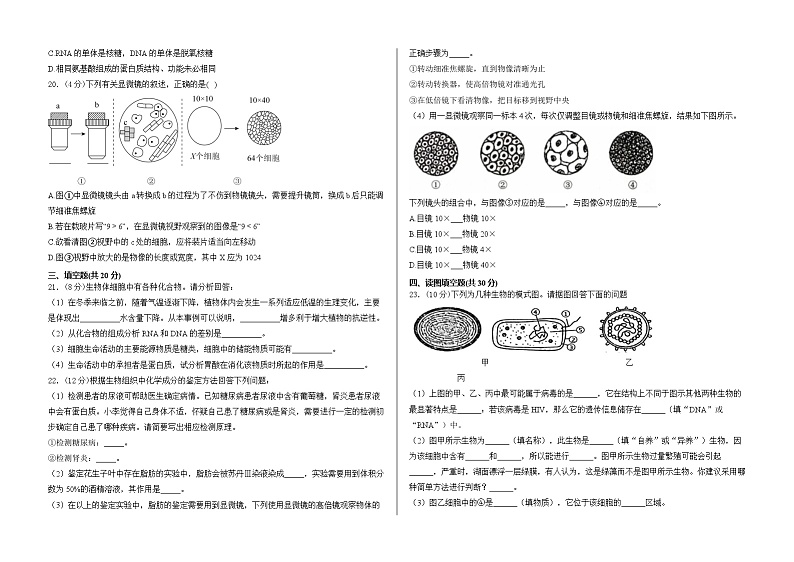 山东省泰安市泰山国际学校2024-2025学年高一上学期10月第一次月考生物试卷第3页