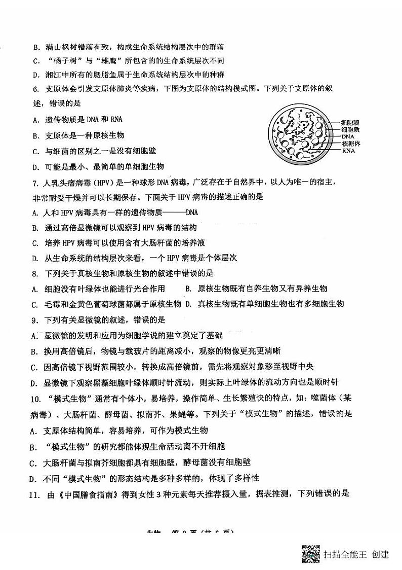 重庆市江北区鲁能巴蜀中学校2024-2025学年高一上学期10月月考生物试题第2页