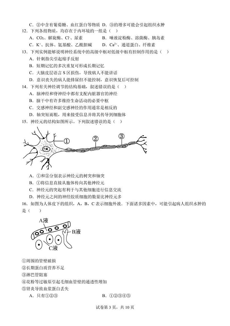 四川省广元市实验中学2024-2025学年高二上学期10月月考生物试题 原卷版第3页
