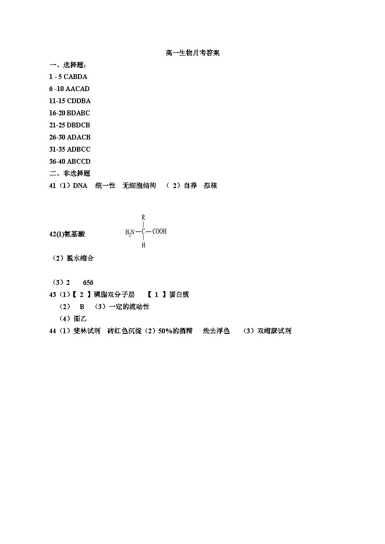 高一生物月考答案第1页