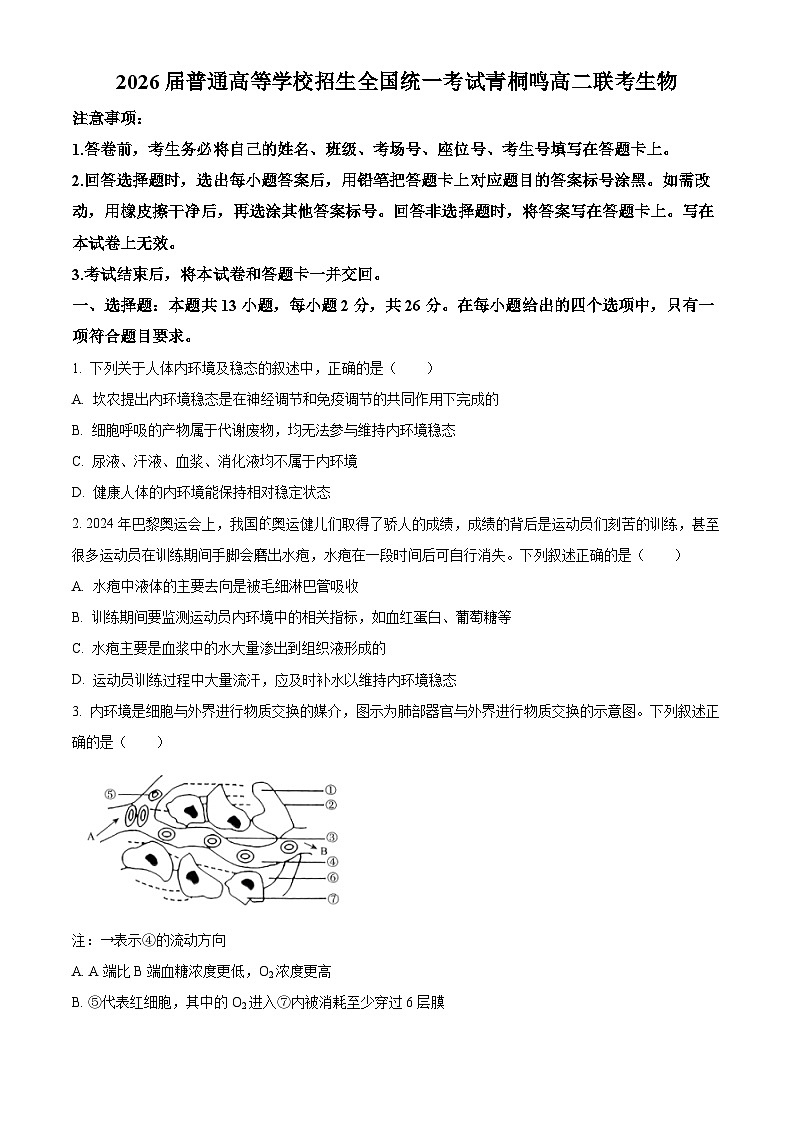 河南省青桐鸣大联考2024-2025学年高二上学期10月月考生物试卷(Word版附解析)第1页