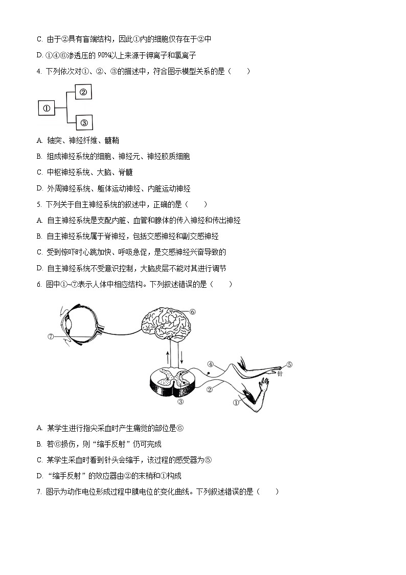 河南省青桐鸣大联考2024-2025学年高二上学期10月月考生物试卷(Word版附解析)第2页