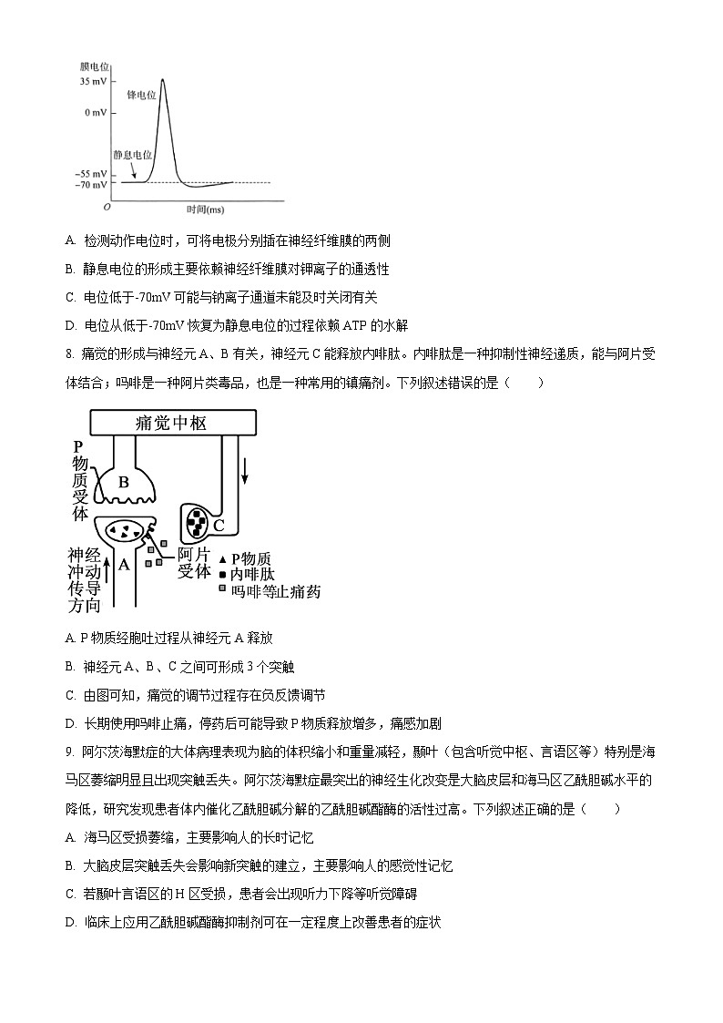 河南省青桐鸣大联考2024-2025学年高二上学期10月月考生物试卷(Word版附解析)第3页