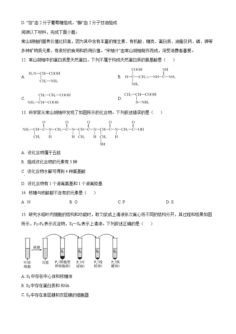 浙江省强基联盟2024-2025学年高一上学期10月联考生物试卷(Word版附答案)第3页