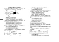 江西省宜春市上高二中2024-2025学年高二上学期第一次月考生物试卷（Word版附答案）
