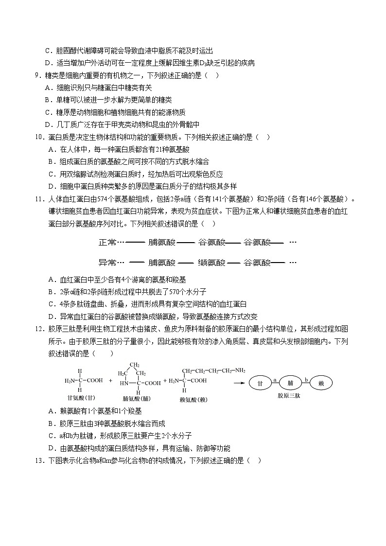 （新八省通用，第1_4章）【測試范圍：第1~4章】（考試版A4）（新八省通用）第3頁