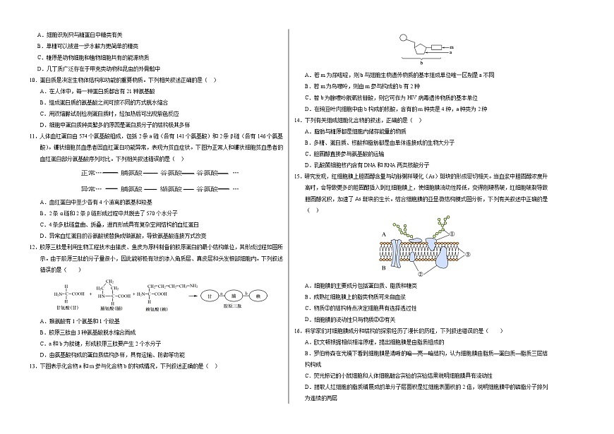 （新八省通用，第1_4章）【測試范圍：第1~4章】（考試版A3）（新八省通用）第2頁