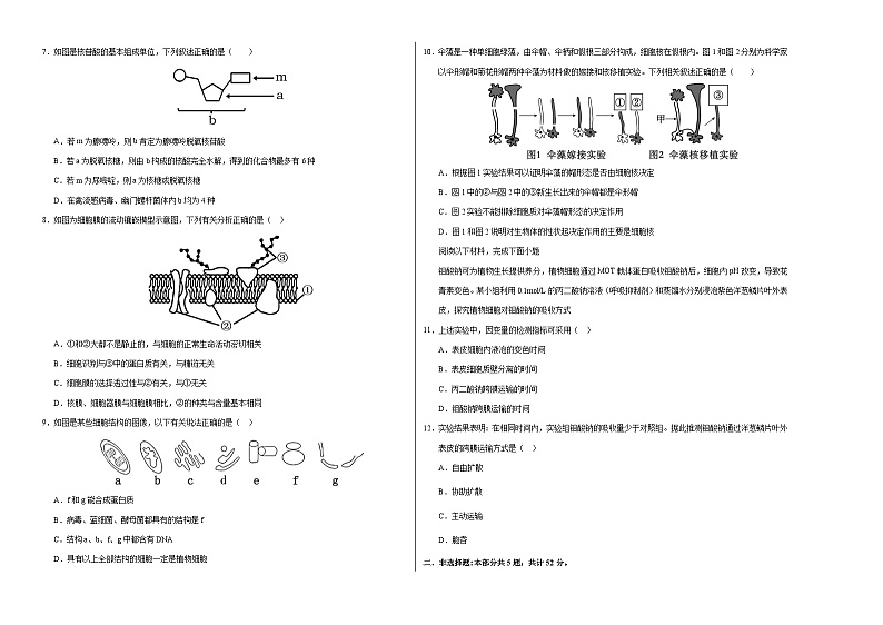(天津专用,第1_4章)【测试范围:第1~4章】(考试版A3)(天津专用)第2页