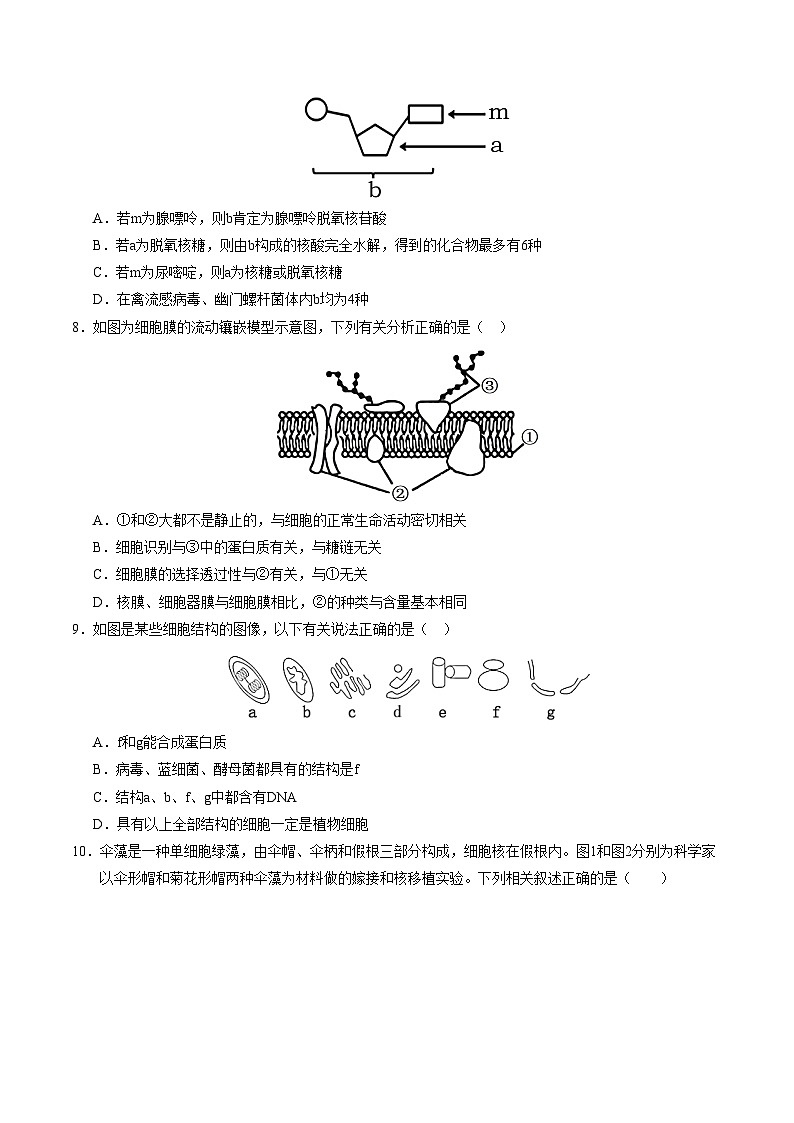 (天津专用,第1_4章)【测试范围:第1~4章】(考试版A4)(天津专用)第3页